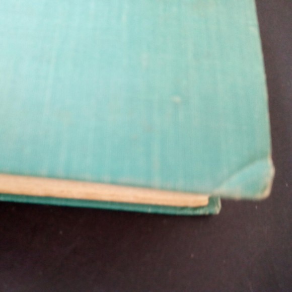The‎ giant Joshua, M Whipple, 1942, Houghton-Mifflin, 2nd printing - Picture 3 of 16